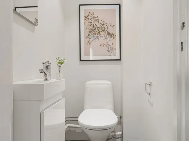 Mała biała toaleta z kompaktową umywalką na szafce, kompaktem WC, grafiką w czarnej ramie i gałązką w wazonie