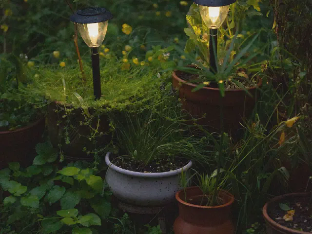 Solarne lampki na szpikulcach wbite między donice z roślinami, świecące wieczorem