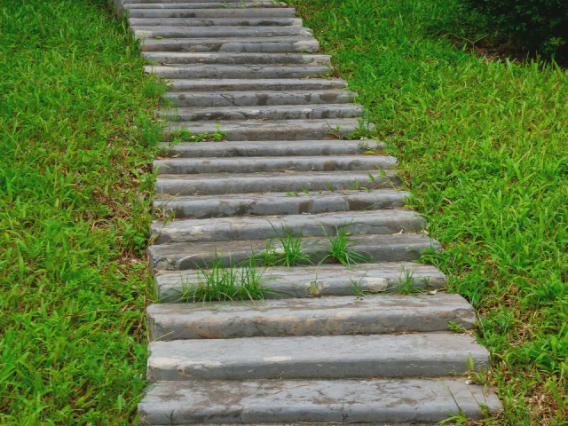 Długa ścieżka z szarych, wąskich płyt kamiennych ułożonych w poprzek, między zielonym trawnikiem