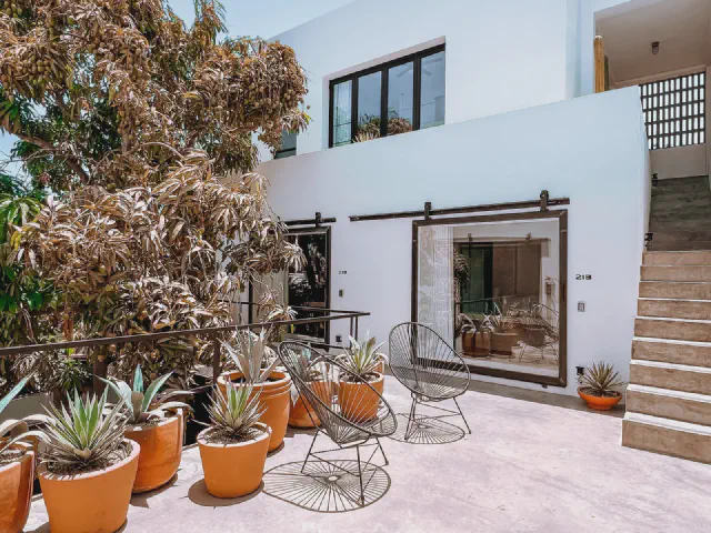Patio przy białym domu z nawierzchnią z jasnych płyt, na nim sukulenty i agawy w terakotowych donicach oraz krzesła acapulco