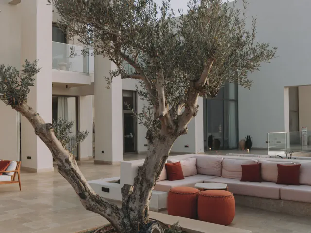 Patio przy białym nowoczesnym domu z jasną kamienną posadzką, drzewkiem oliwnym, białą sofą z czerwonymi poduszkami i pufami